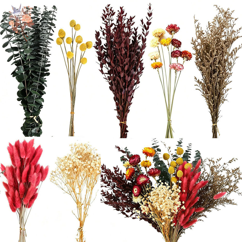Florist Flower Supply - Набор сухоцветов оптом, 7 видов, натуральные