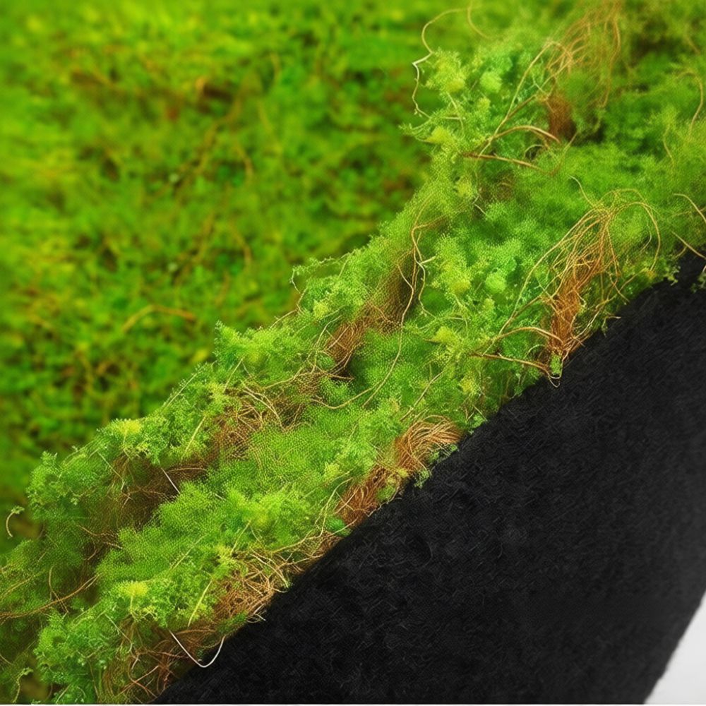 Искусственный газон из имитаци – обзор и цена Preserved Moss Sheet