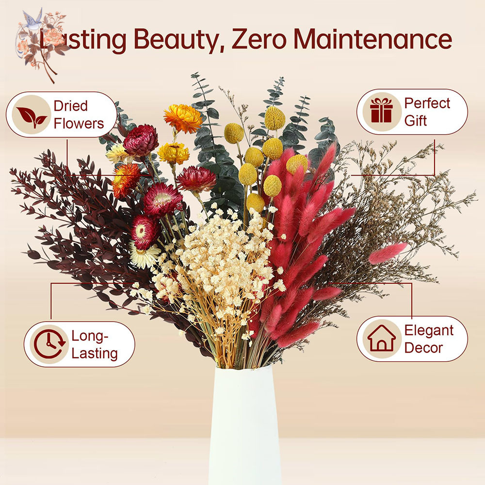 Набор сухоцветов оптом, 7 видо – обзор и цена Florist Flower Supply