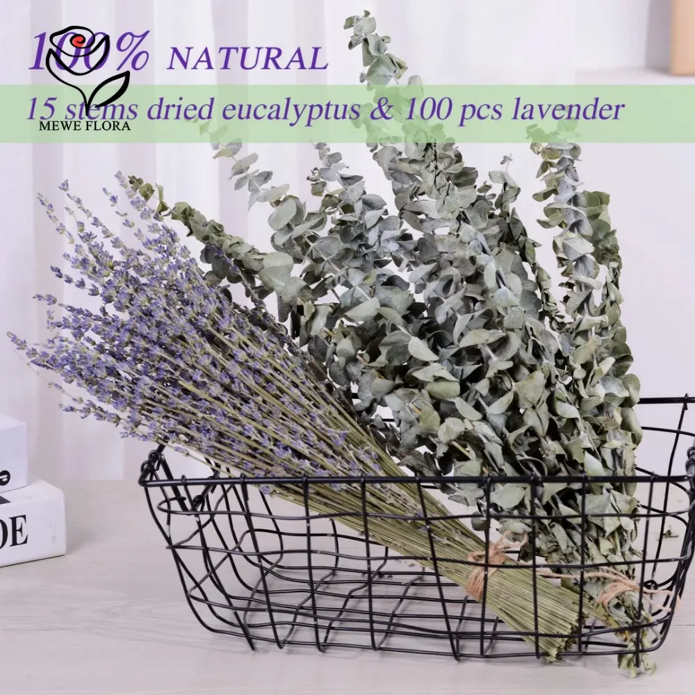 30 шт. сушеные цветы сохраненн – обзор и цена Eucalyptus Preserved